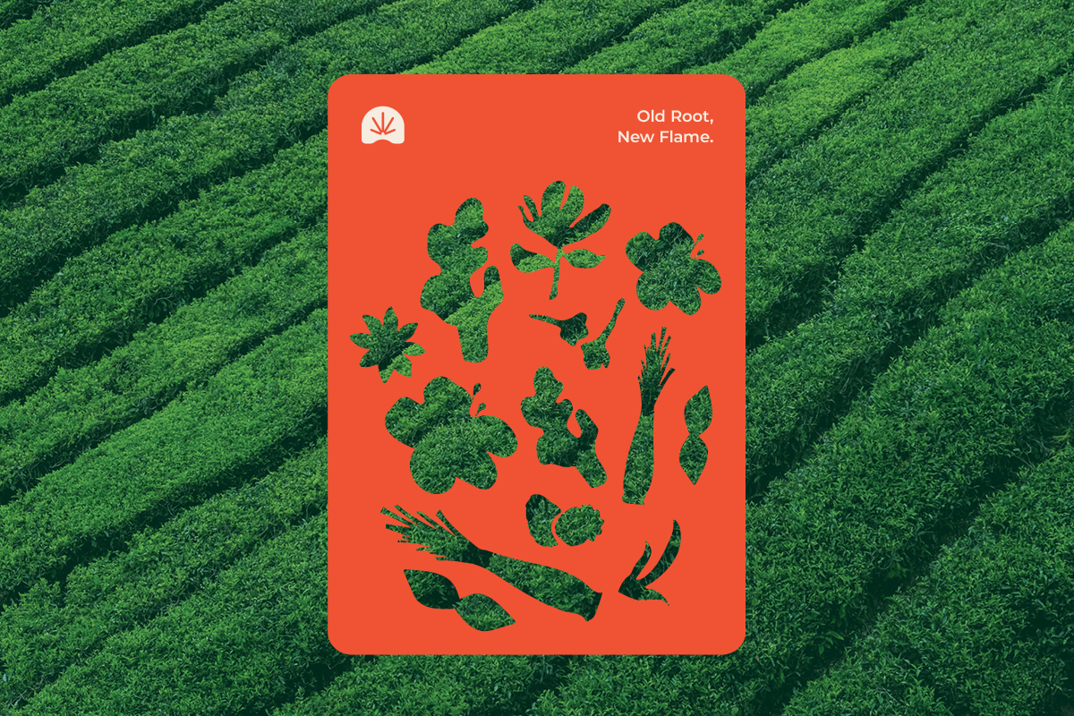 nostalgia - brand identity